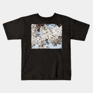 Somerset Sakura Kids T-Shirt